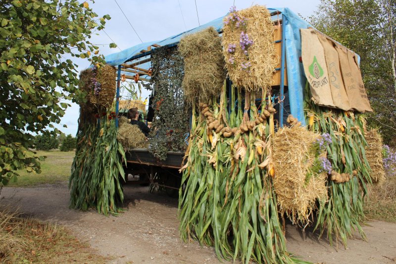 1-10-2016_erntefest_465