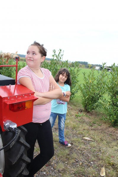 1-10-2016_erntefest_750