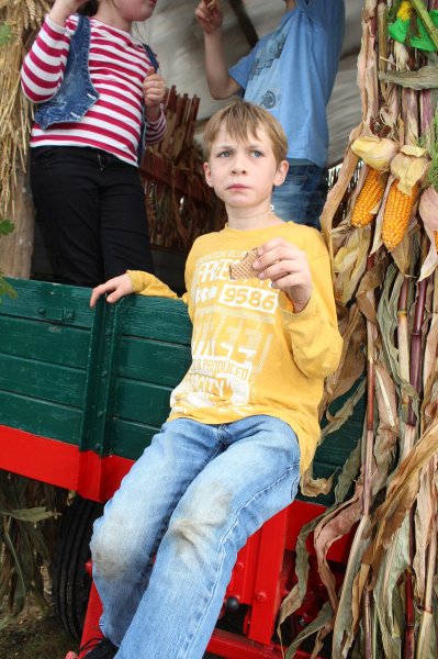 1-10-2016_erntefest_751