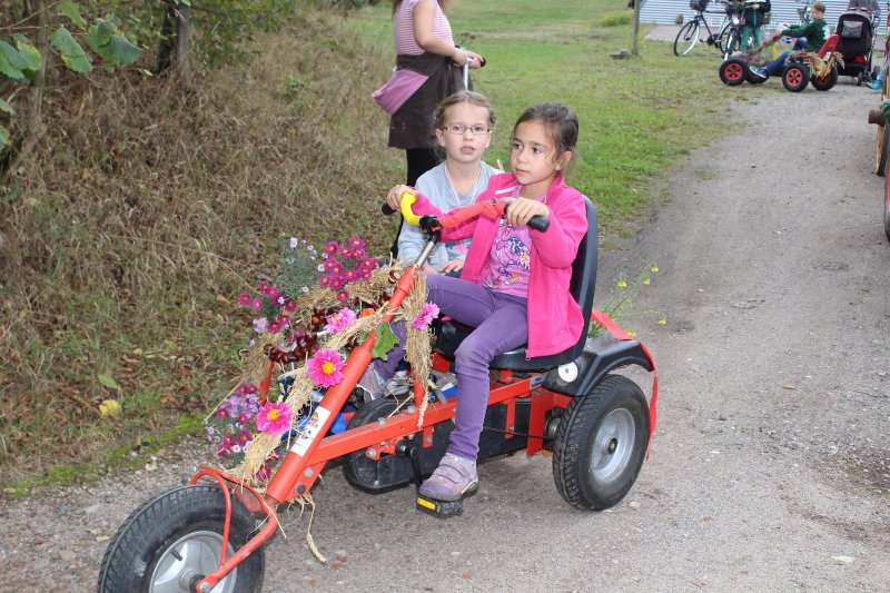 1-10-2016_erntefest_823