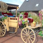 1-10-2016_erntefest_132