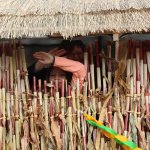 1-10-2016_erntefest_449