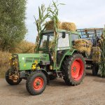 1-10-2016_erntefest_452