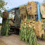 1-10-2016_erntefest_465