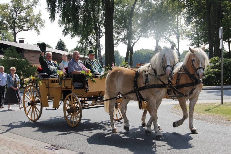 Schützenfest 2013