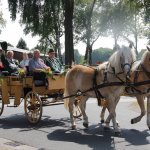 Schützenfest 2013
