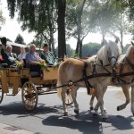 Schützenfest 2013