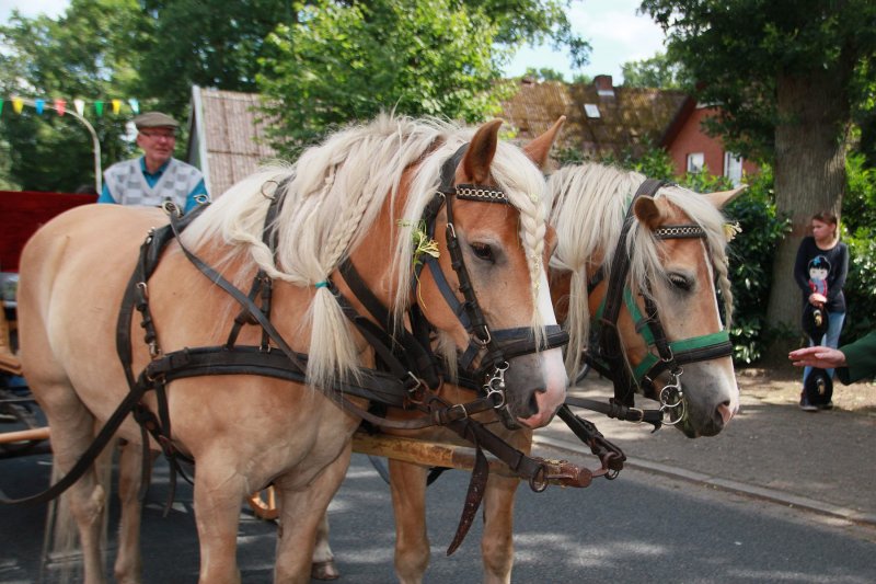 2016-07-09_melanies_schuetzenfest_437