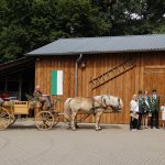 2015-07-11schuetzenumzug_koenigwilli107